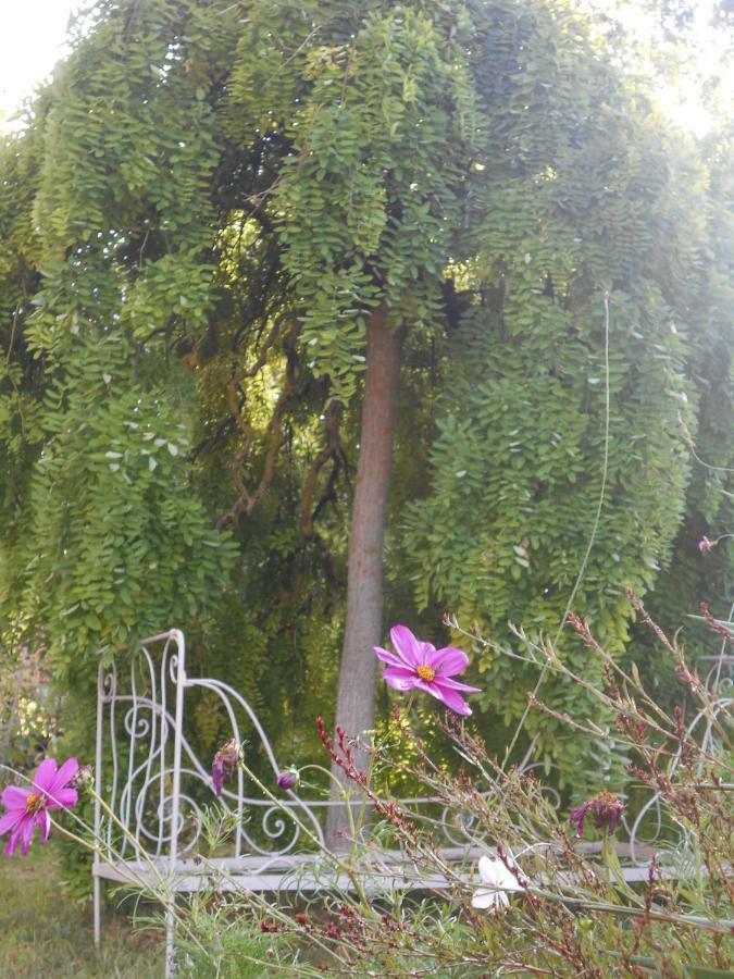 Bastida De Beata Bed & Breakfast Noailles  Ngoại thất bức ảnh