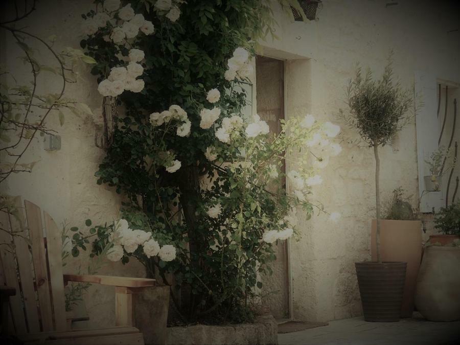 Bastida De Beata Bed & Breakfast Noailles  Ngoại thất bức ảnh