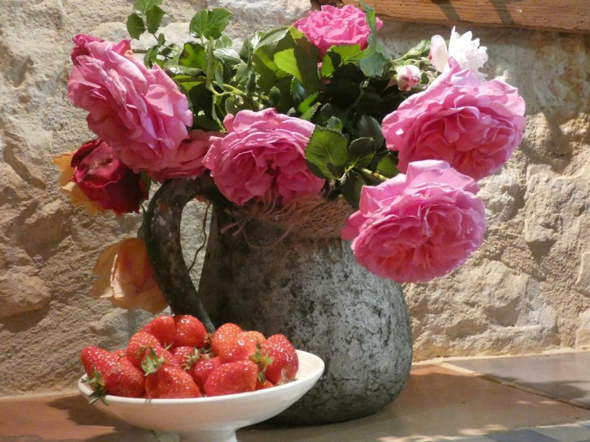 Bastida De Beata Bed & Breakfast Noailles  Ngoại thất bức ảnh